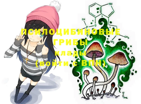 эйфоретик Богородск