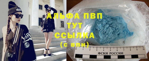первитин Богданович