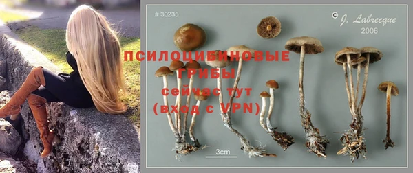 эйфоретик Богородск