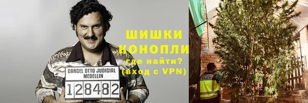 эйфоретик Богородск