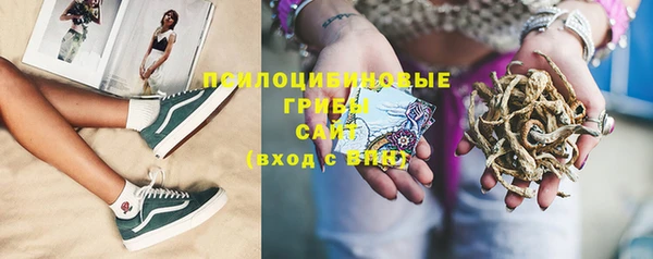первитин Богданович