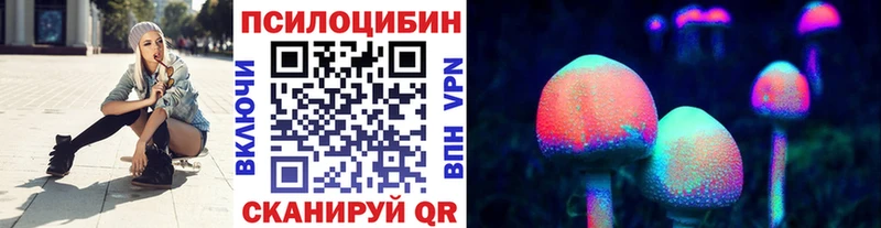 гидра как зайти Славянск-на-Кубани Псилоцибиновые грибы Psilocybine cubensis